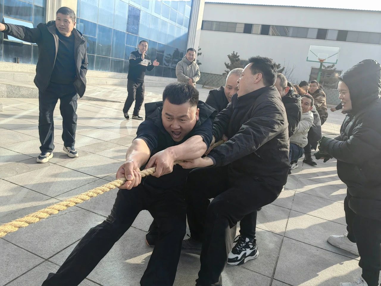 圖片